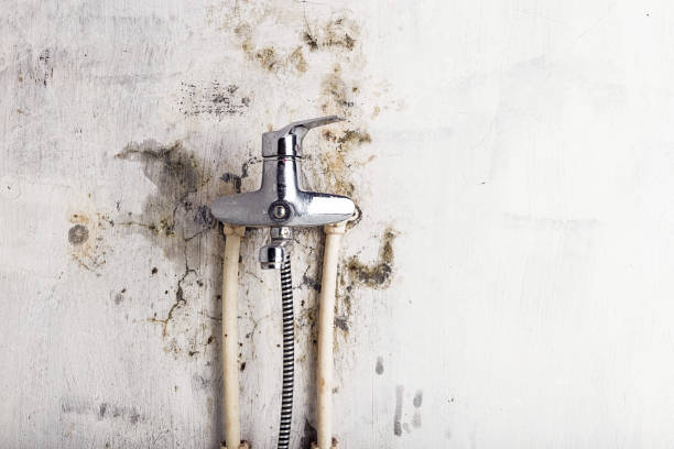 Certified Mold Removal in Skagway, AK