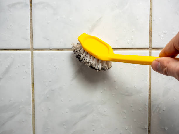 Best Mold Testing and Removal  in Skagway, AK