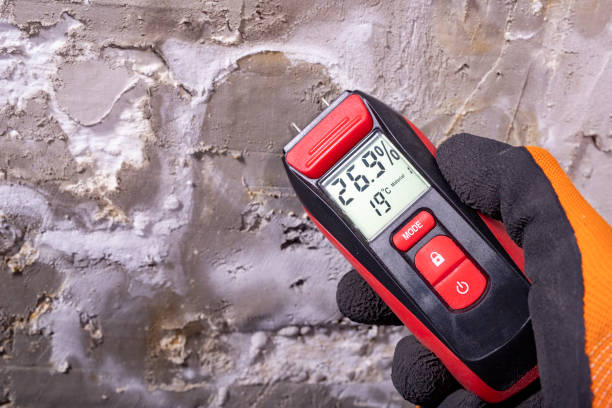 Certified Mold Removal in Skagway, AK