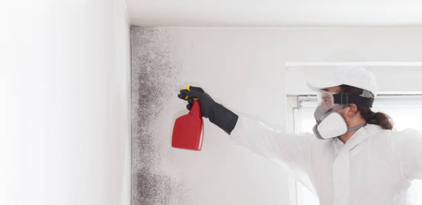 Best Crawl Space Mold Removal  in Skagway, AK