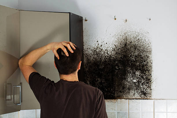 Best Emergency Mold Removal  in Skagway, AK